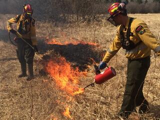 Prescribed_fire_ignition_by_drip_torch.jpg