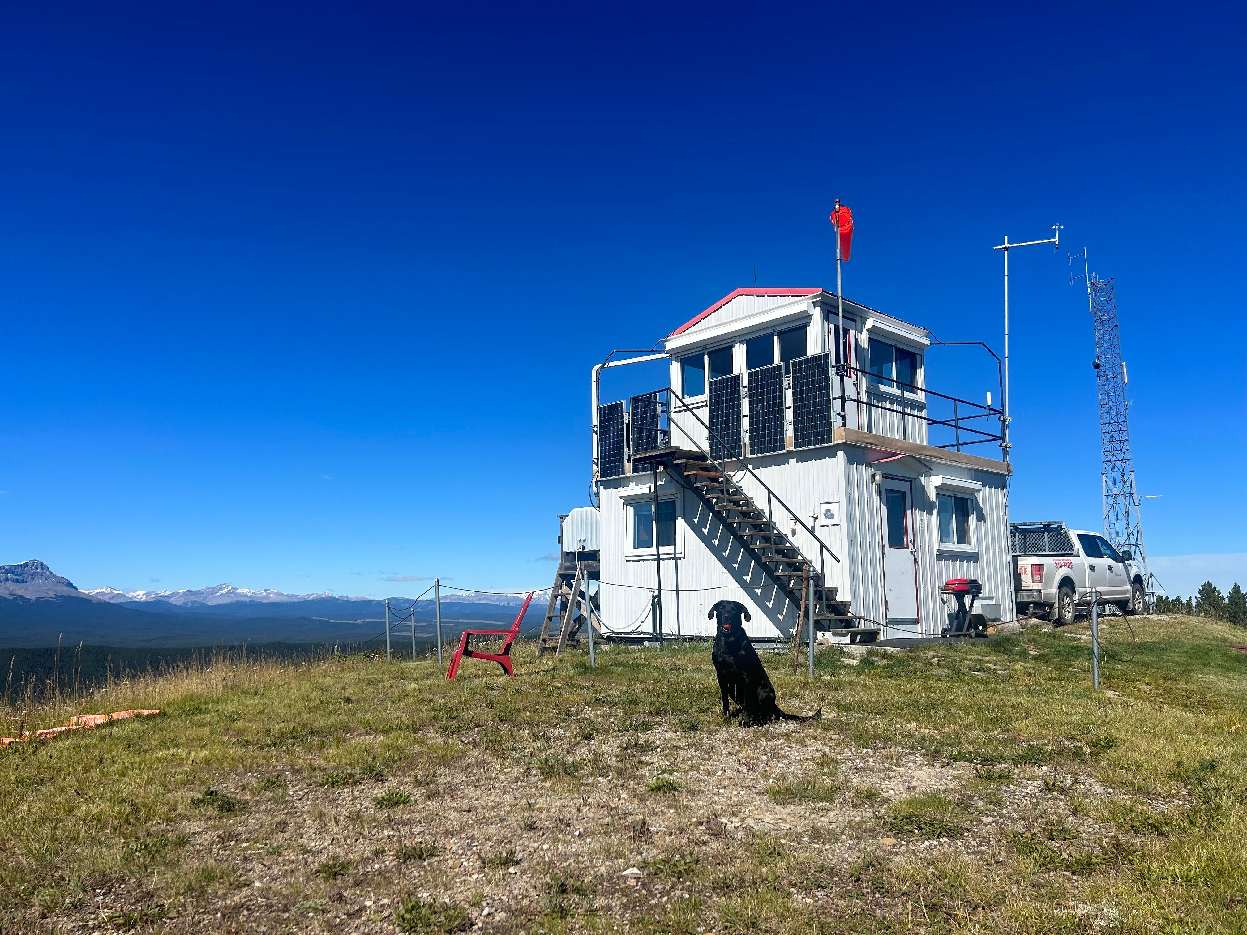 Mockingbird lookout August 29