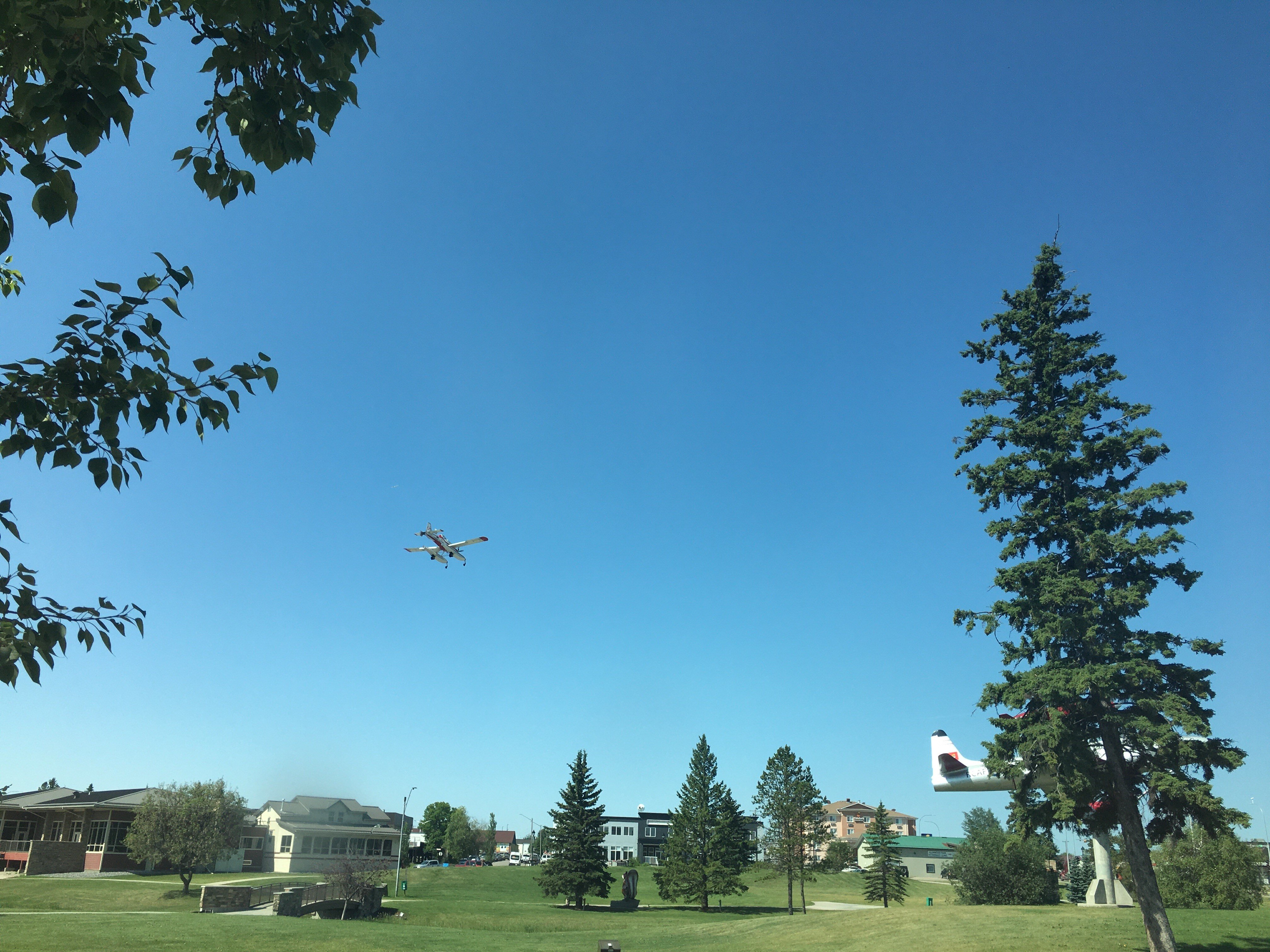 July 11 Water Skimmers Over Edson