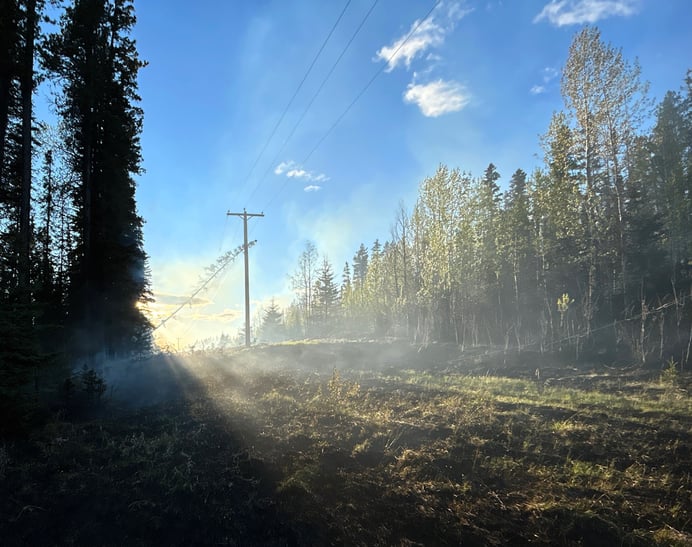 41 May 31 EWF039 Powerline Fire