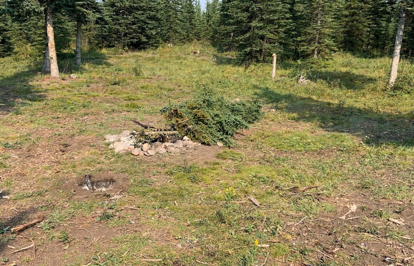 Sept 8 abandoned campfire