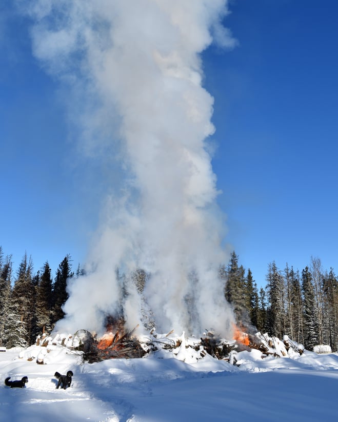 9 Feb 28 Ext Burn Piles
