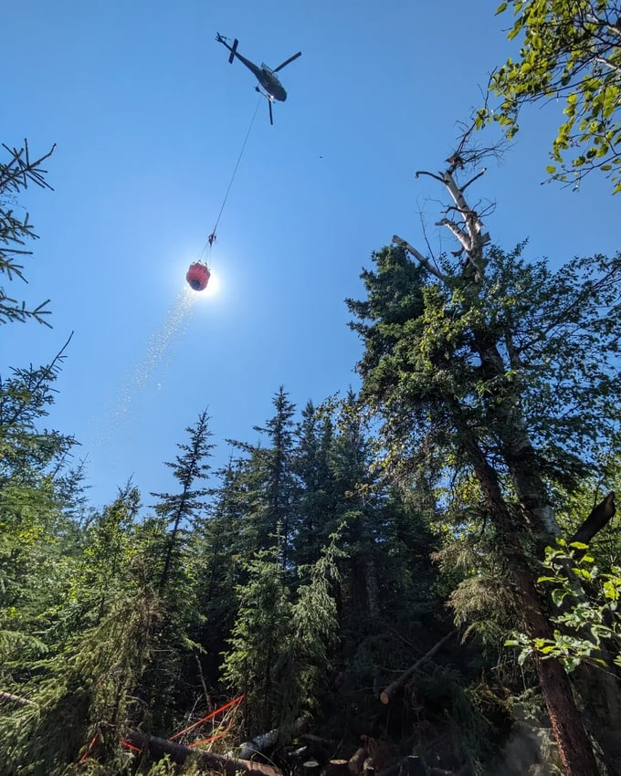 bucket picture with sun