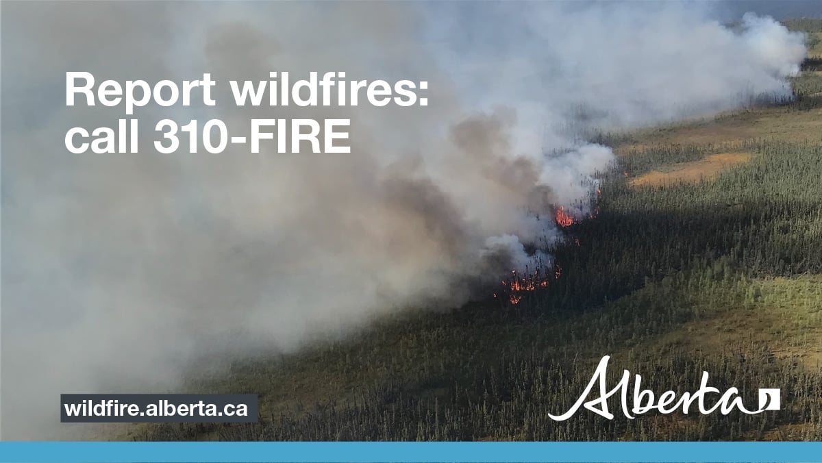 Calgary Forest Area Wildfire Update - July 23, 2024 UPDATE