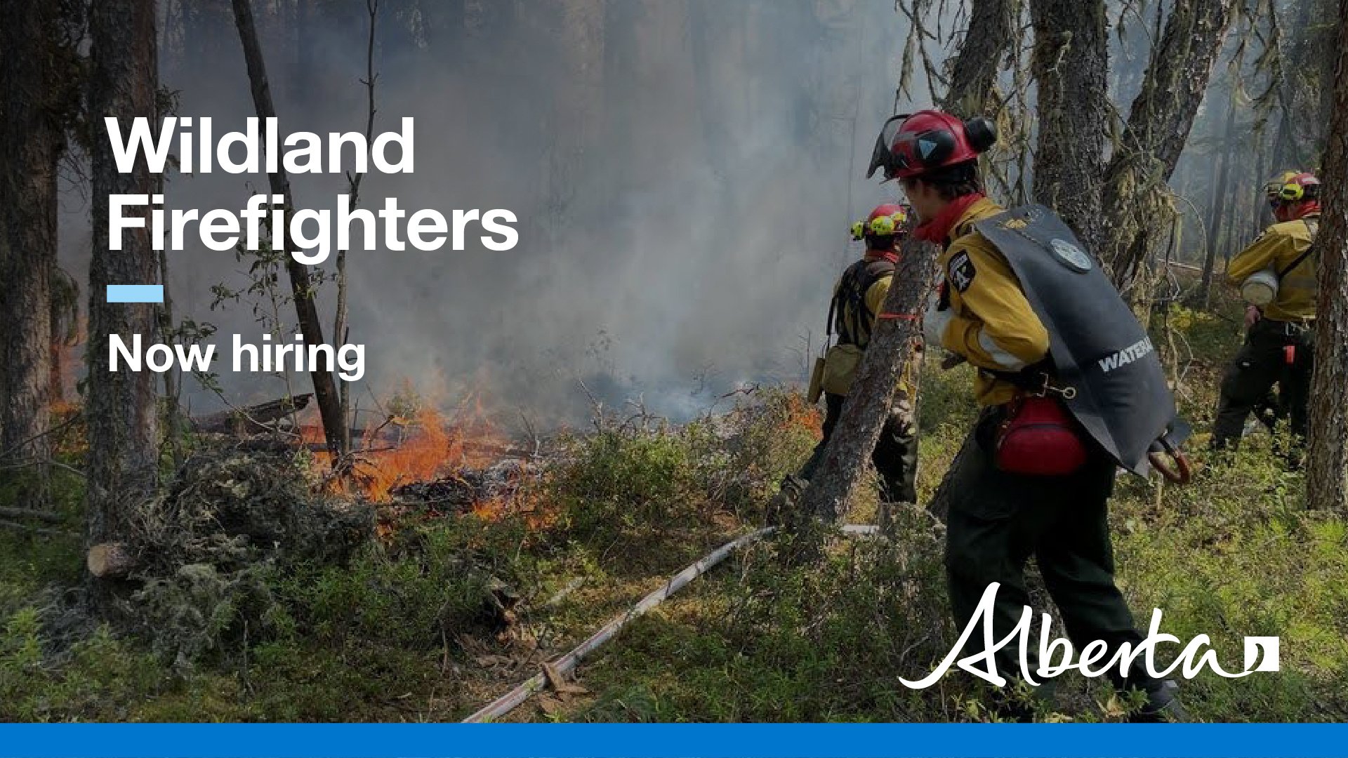 Now hiring wildland firefighter 2024 (2)