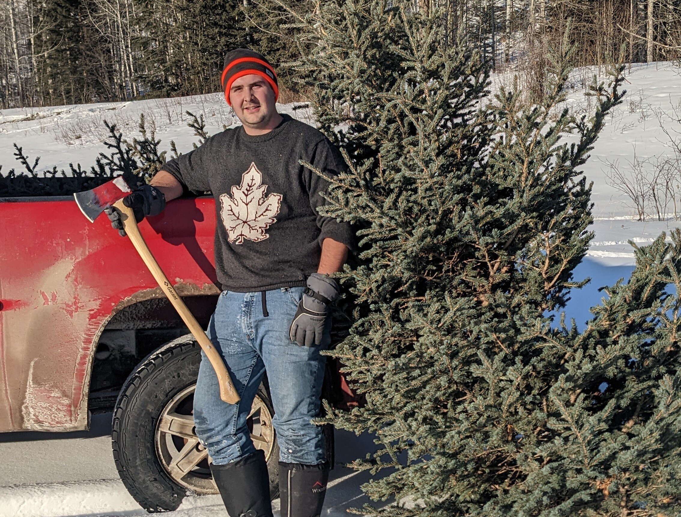 Christmas Tree Permits-1