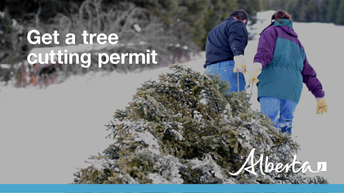 Tree Cutting Permit