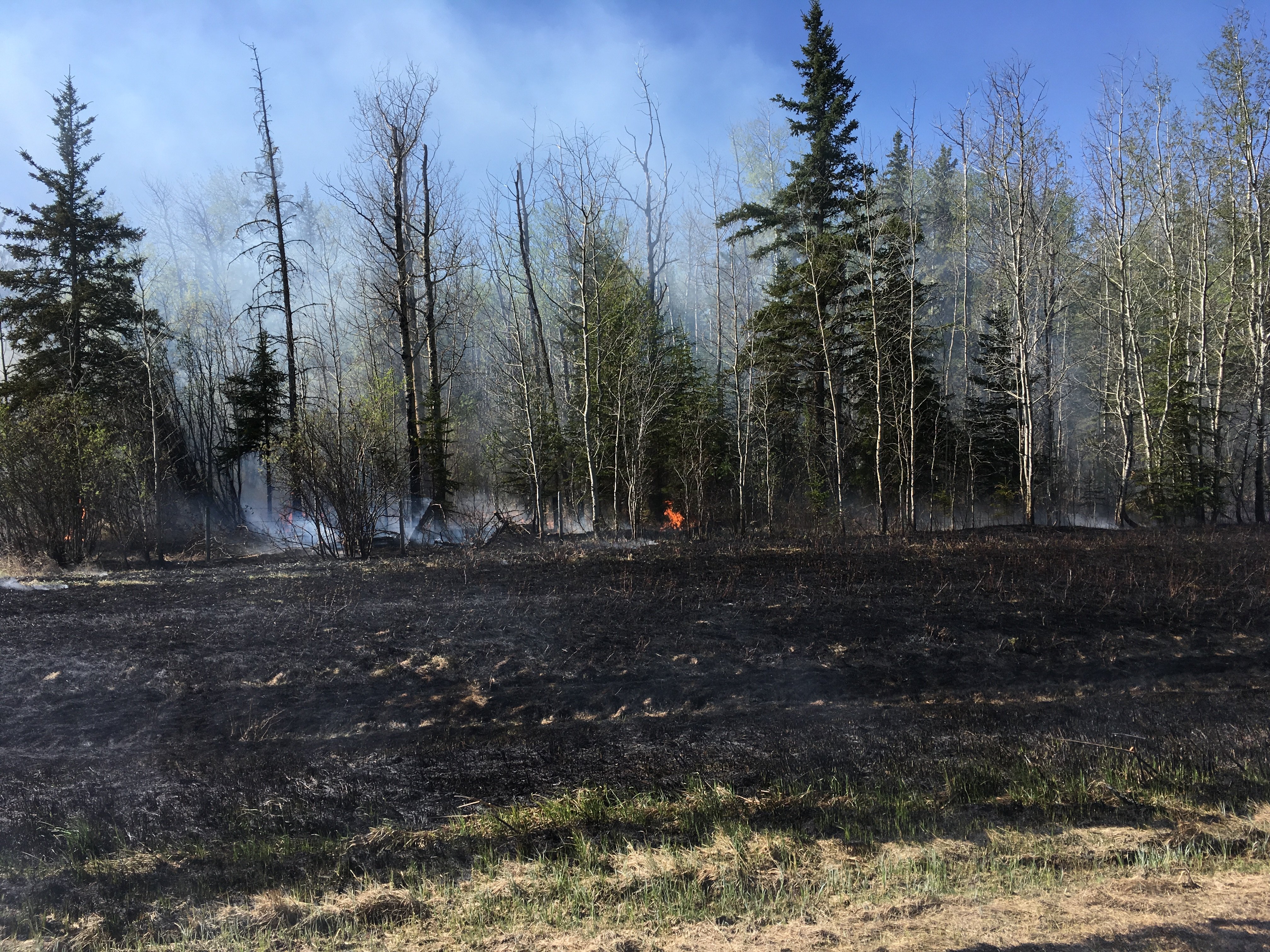 wildfire in ditch Strawberry Creek