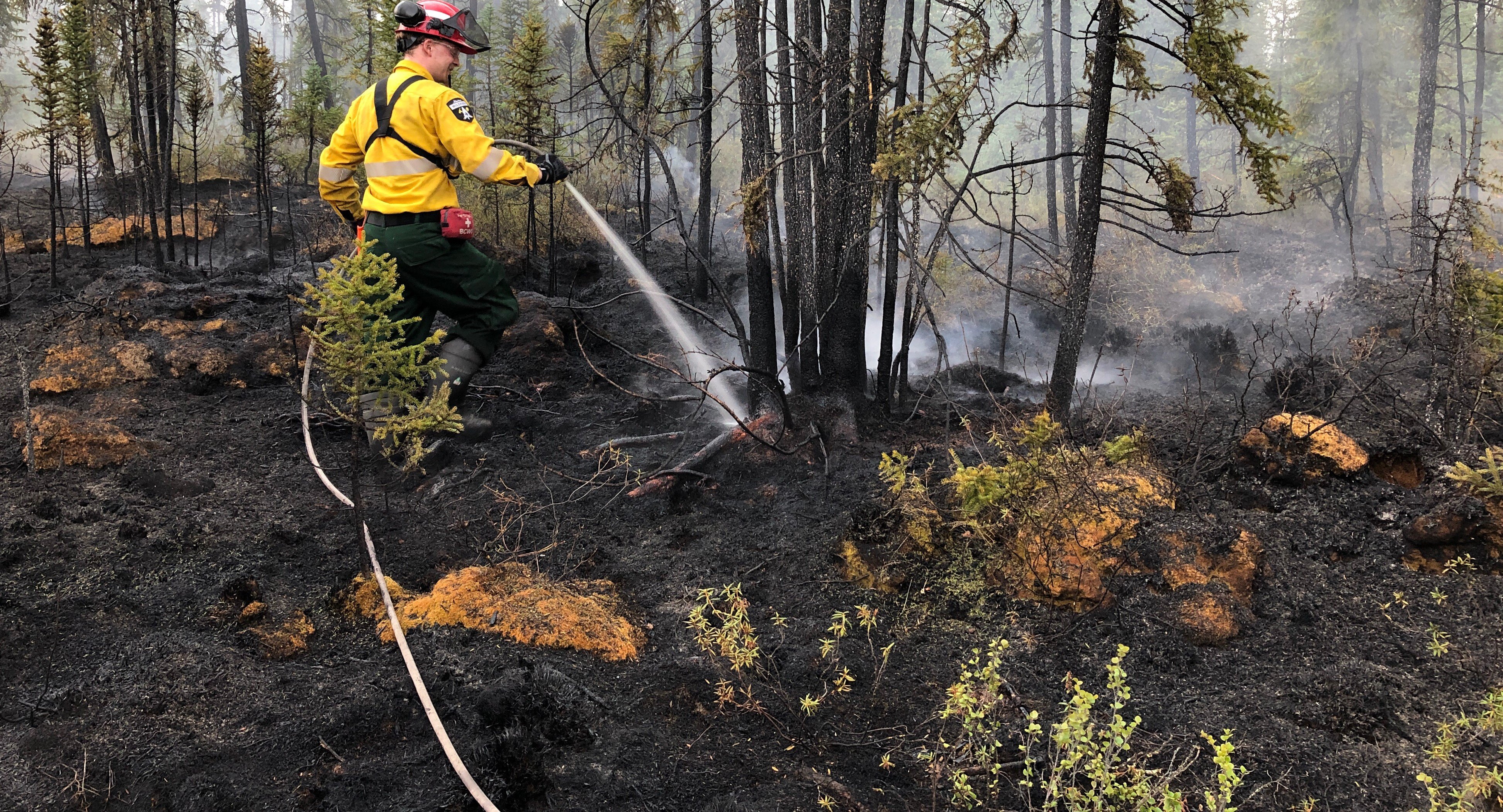 firefighter working on ground fire 2021 new patches 1