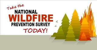 wildfire_prevention_survey.jpg