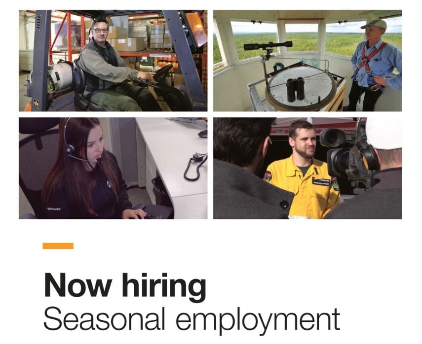 seasonal employment - 2024
