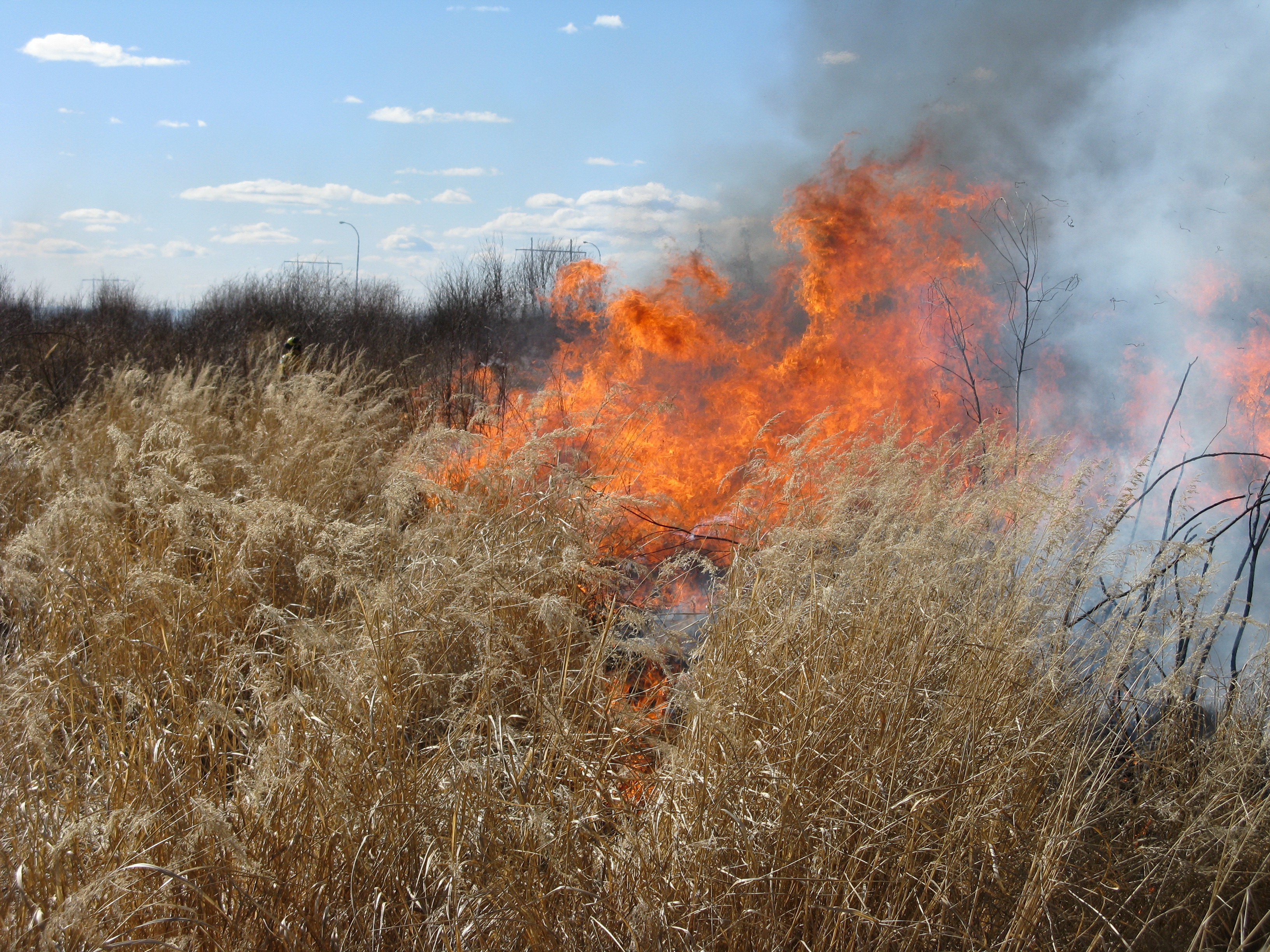 Slave Lake Forest Area Wildfire Update - Firefighters ...