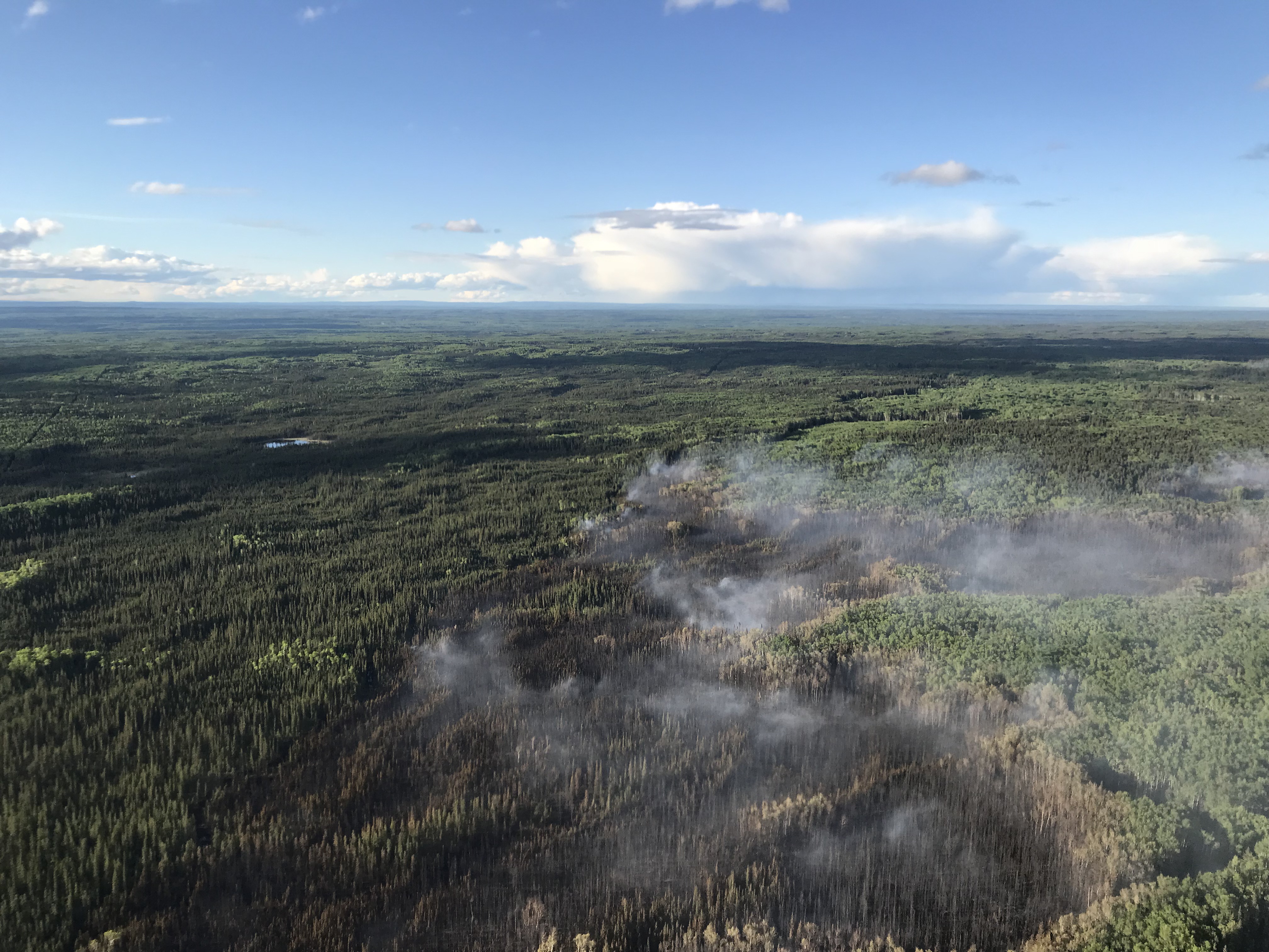 Peace River Forest Area Update - May 29, 2018 (pm)